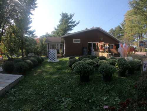 A cozy brown house surrounded by lush greenery and decorative potted plants on a sunny day.