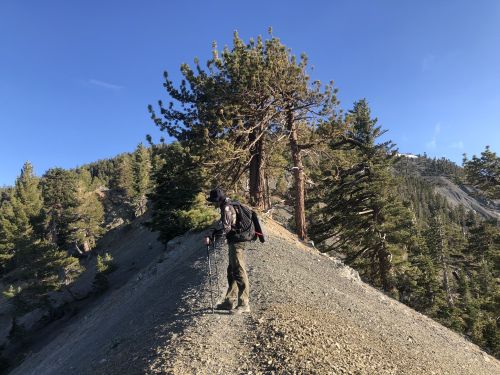 A hiker with a backpack walks along a rocky ridge surrounded by tall trees and a clear blue sky.