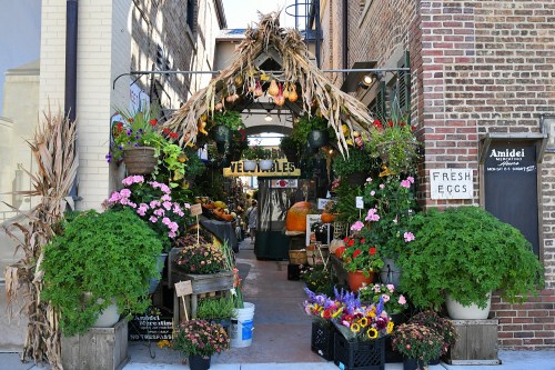 A charming market entrance adorned with flowers, pumpkins, and corn stalks, inviting visitors to explore fresh produce.