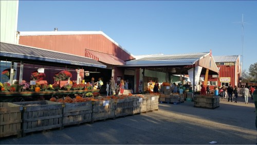 A bustling market with colorful pumpkins and flowers outside, surrounded by wooden crates and visitors enjoying the day.