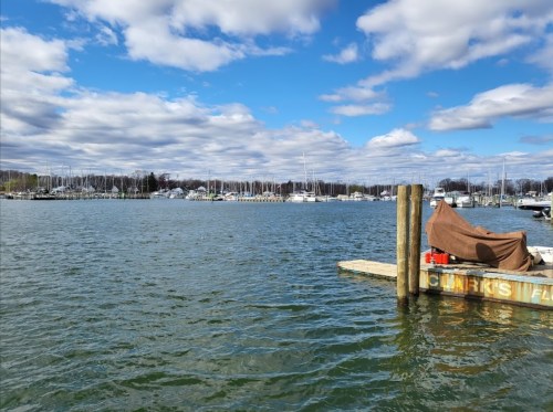 A calm marina scene with boats docked, under a blue sky with fluffy clouds and a wooden pier in the foreground.
