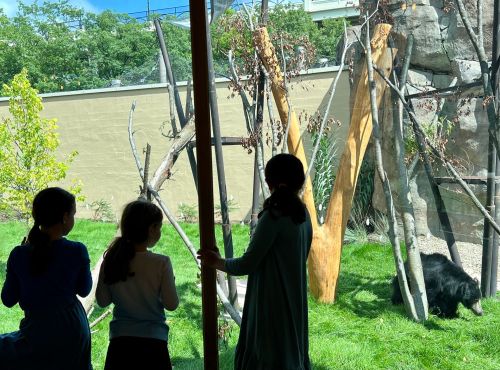 Three children observe a bear in a zoo enclosure, surrounded by trees and natural elements.