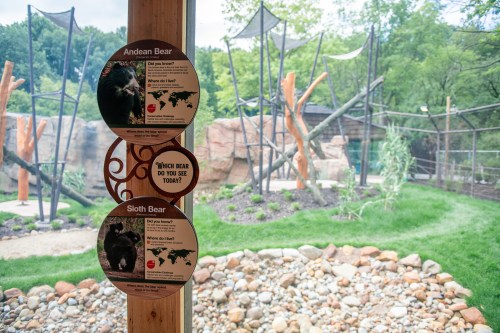 Informational signs about Andean and Sloth bears in a zoo exhibit, with a natural habitat background.