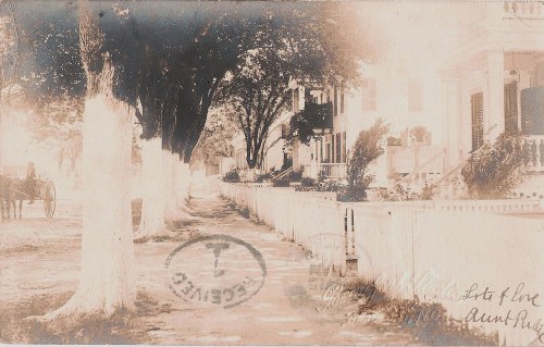 A vintage photo of a tree-lined street with a horse and carriage, featuring white picket fences and historic homes.