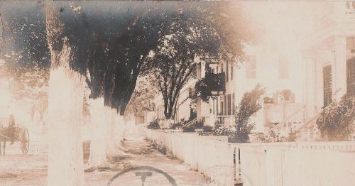 A faded historical street scene with trees lining a path, houses in the background, and a horse-drawn carriage.