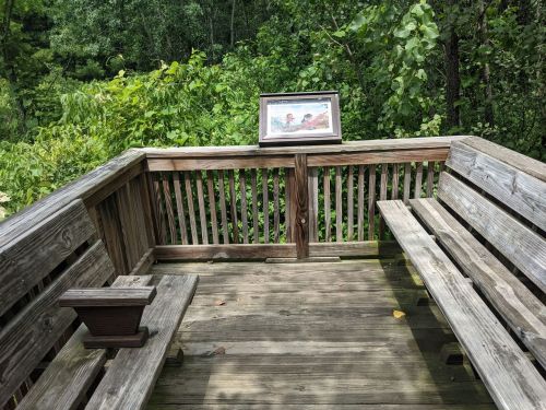 A wooden viewing platform surrounded by greenery, featuring a framed picture on the railing.