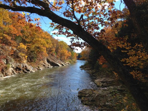 A serene river flows through a vibrant autumn landscape with colorful trees lining the banks under a clear blue sky.