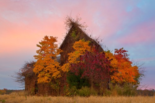 An old, abandoned house surrounded by vibrant autumn foliage under a colorful sky at sunset.