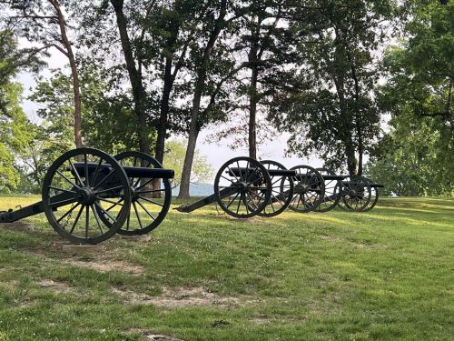 A row of historical cannons on a grassy area, surrounded by trees and a scenic view in the background.