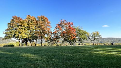 A scenic view of colorful autumn trees against a clear blue sky, with a grassy field and distant hills.