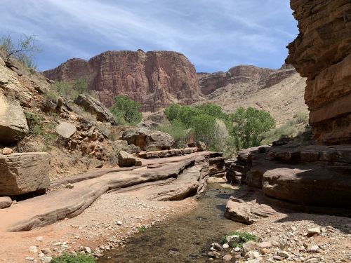 A rocky canyon landscape with a stream, green trees, and towering red cliffs under a blue sky.