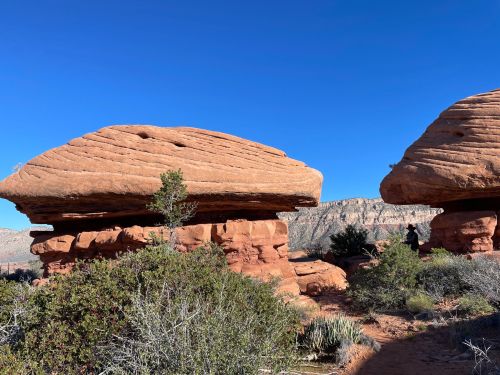 Two large, flat-topped rock formations surrounded by shrubs and desert vegetation under a clear blue sky.