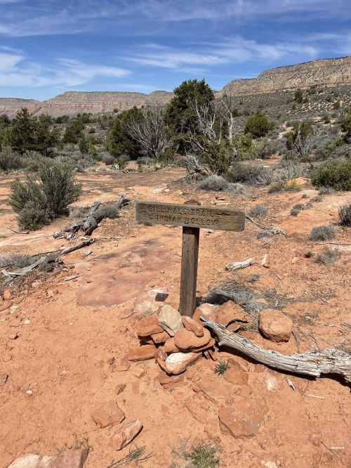 A wooden signpost in a desert landscape, surrounded by shrubs and rocky terrain, with distant cliffs in the background.