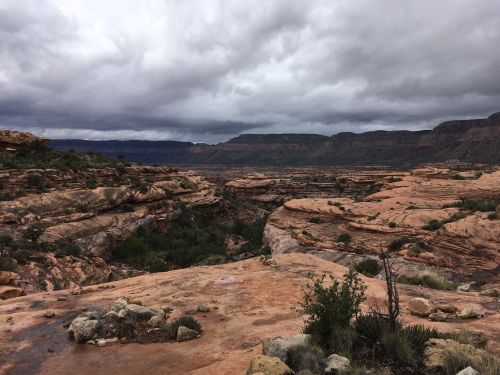 A rugged landscape of red rock formations under a cloudy sky, with green vegetation scattered throughout the scene.