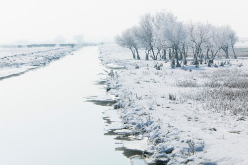 A serene winter landscape featuring a frozen river and snow-covered trees along the banks.