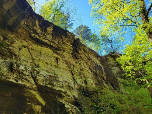 A rocky cliff surrounded by vibrant green trees under a clear blue sky.