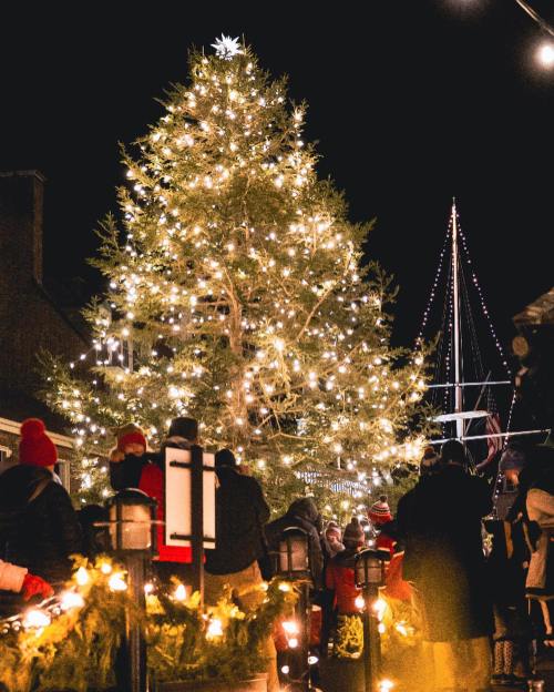 A brightly lit Christmas tree stands tall at night, surrounded by a crowd of people enjoying the festive atmosphere.