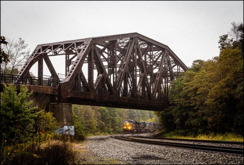A train passes under a rusty, metal bridge surrounded by trees on a foggy day.