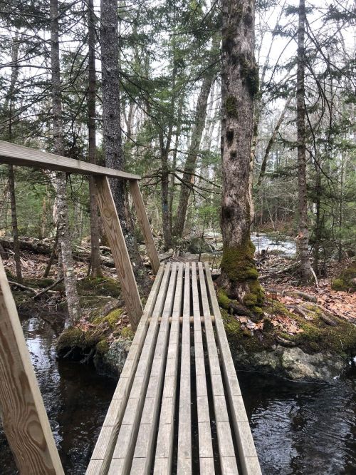 A wooden bridge spans a small stream, surrounded by trees and mossy rocks in a tranquil forest setting.