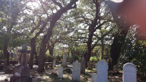 A serene cemetery with old gravestones surrounded by lush trees and dappled sunlight filtering through the leaves.