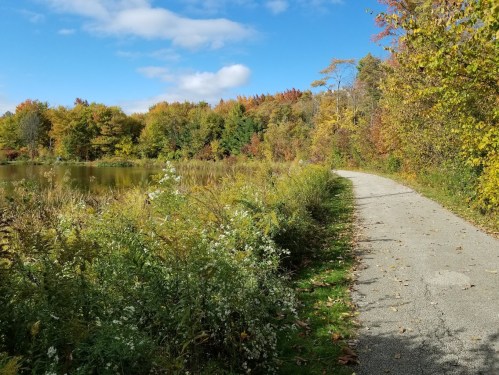 A scenic path beside a calm lake, surrounded by vibrant autumn foliage and a clear blue sky.