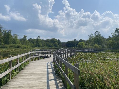 A wooden boardwalk stretches through a lush green landscape, surrounded by water and clouds in a blue sky.