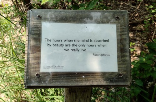 Sign in nature with a quote by Robert Jefferies about beauty and living fully. Surrounded by greenery.