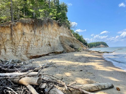 A sandy beach with driftwood, cliffs in the background, and a clear blue sky with scattered clouds.