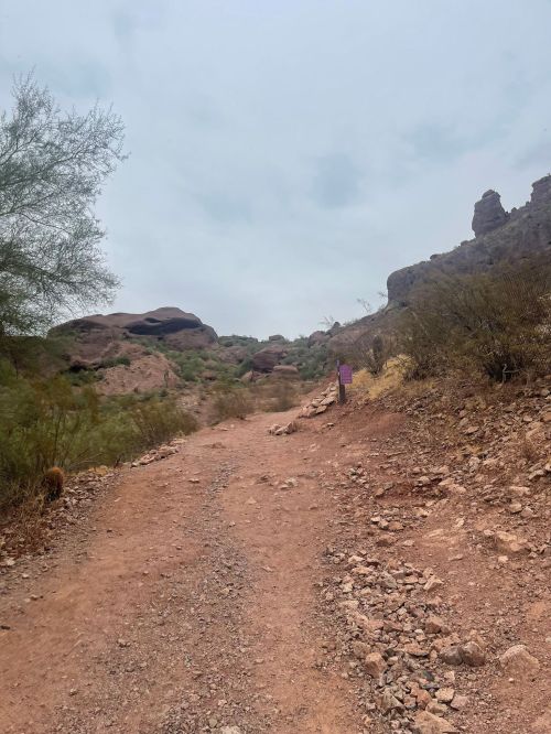 A rocky dirt path leads through a desert landscape with sparse vegetation and rocky formations under a cloudy sky.