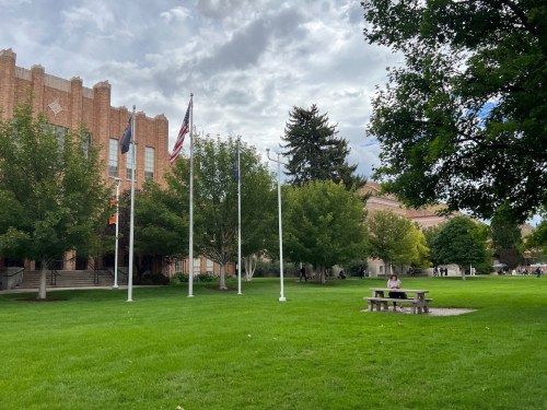 A grassy area with trees, flags, and a picnic table in front of a brick building under a cloudy sky.