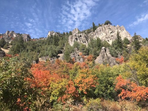 A scenic view of rocky mountains surrounded by vibrant autumn foliage in shades of orange and green under a blue sky.