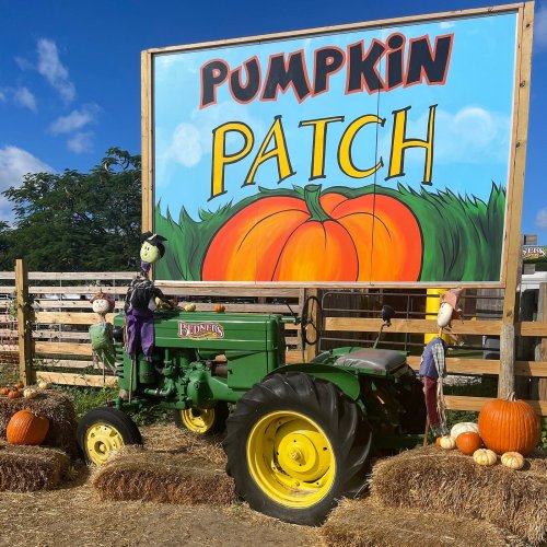 A green tractor in front of a colorful "Pumpkin Patch" sign, surrounded by pumpkins and scarecrows.