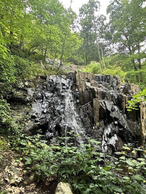 A small waterfall cascading down a rocky cliff, surrounded by lush green foliage and trees.