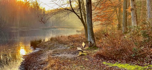 A serene riverside scene at sunrise, with benches, trees, and autumn foliage reflecting in the calm water.