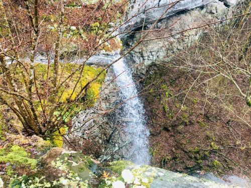 A small waterfall cascades over rocky terrain, surrounded by moss and bare trees in a natural setting.