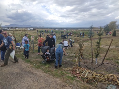 A busy outdoor scene with families and children exploring a farm, with rows of plants and cloudy skies in the background.