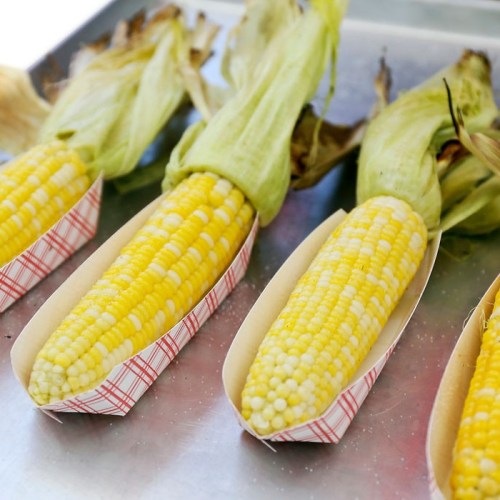 Fresh corn on the cob served in paper trays, with husks partially peeled back, arranged on a metal surface.