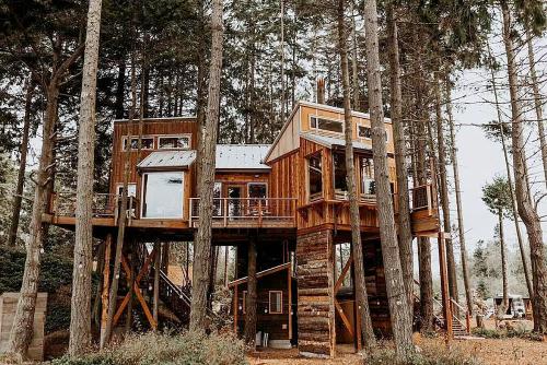 A unique wooden treehouse nestled among tall trees, featuring multiple levels and large windows.