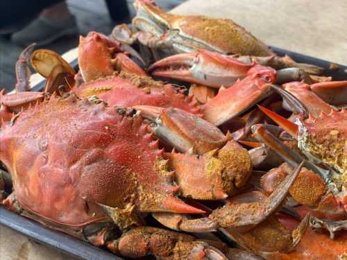 A close-up of a tray filled with cooked, seasoned crabs, showcasing their vibrant red shells and claws.