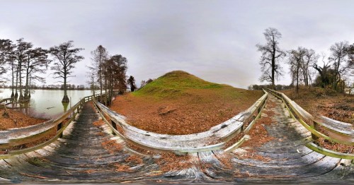 A large mound with a boardwalk path along a creepy hiking trail in Arkansas.
