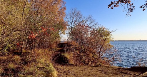 A serene lakeside path surrounded by autumn foliage under a clear blue sky.