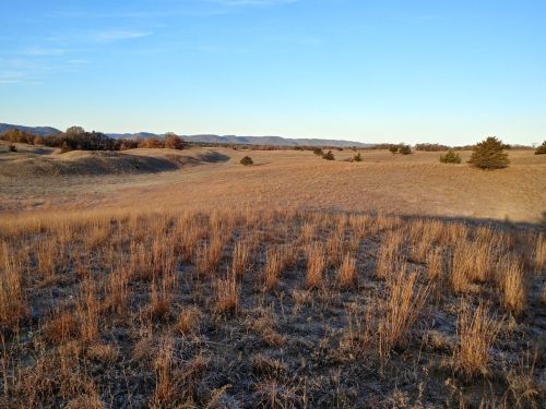 A wide, open landscape with dry grass and distant hills under a clear blue sky.