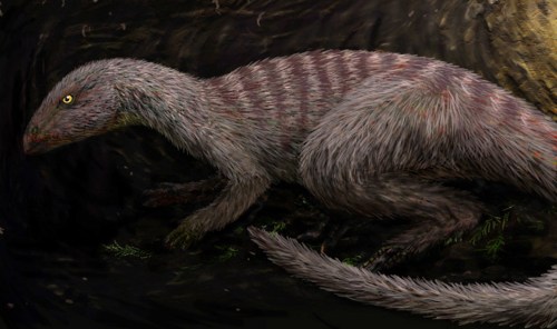 A prehistoric creature resembling a small, furry dinosaur with stripes, set against a dark, natural background.