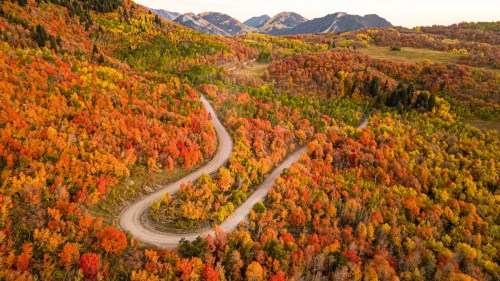 A winding road through vibrant autumn foliage, showcasing a landscape of red, orange, and yellow trees against mountains.