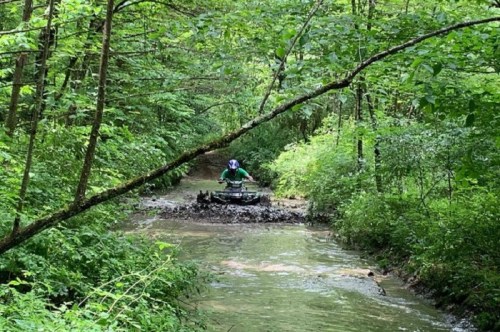 A person riding an ATV through a muddy trail in a lush green forest.