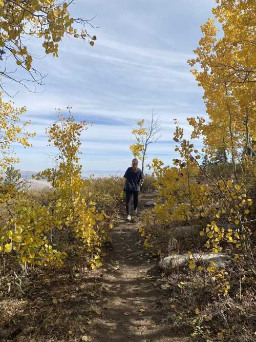 A person walks along a dirt path surrounded by vibrant yellow autumn leaves and trees under a cloudy sky.