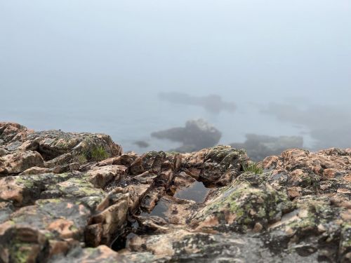 Rocky shoreline with moss-covered stones, partially obscured by fog over calm water.