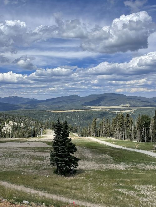 A lone tree stands in a grassy field, with rolling mountains and a cloudy sky in the background.
