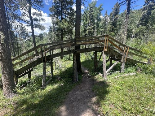 A wooden bridge arches over a path in a lush forest, surrounded by tall trees and greenery under a blue sky.