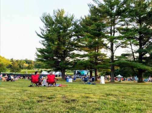 A grassy field with people sitting in chairs, enjoying an outdoor event under tall trees. A screen is visible in the background.